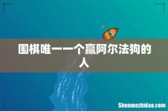 围棋唯一一个赢阿尔法狗的人