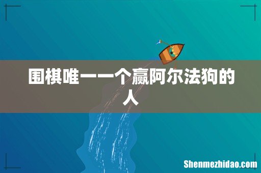 围棋唯一一个赢阿尔法狗的人