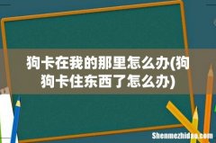 狗狗卡住东西了怎么办 狗卡在我的那里怎么办