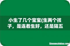 生两个孩子，是连着生好，还是隔五年以上再生更好？ 小生了几个宝宝