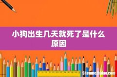 小狗出生几天就死了是什么原因