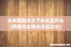 熬粥开水放米还是冷水 大米粥是冷水下米还是开水