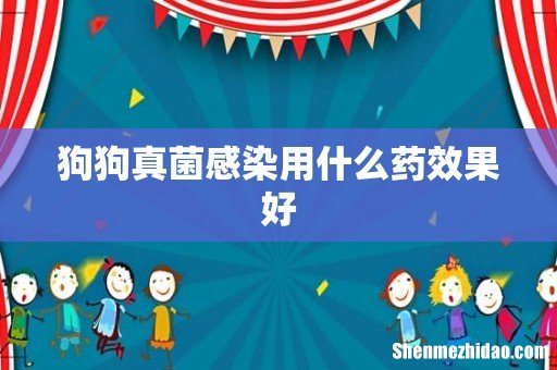 狗狗真菌感染用什么药效果好