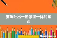猫咪吐出一团像泥一样的东西