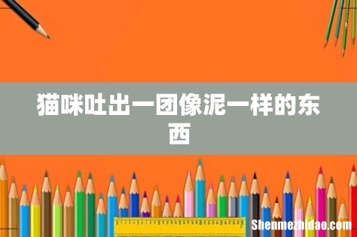 猫咪吐出一团像泥一样的东西