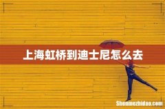 上海虹桥到迪士尼怎么去