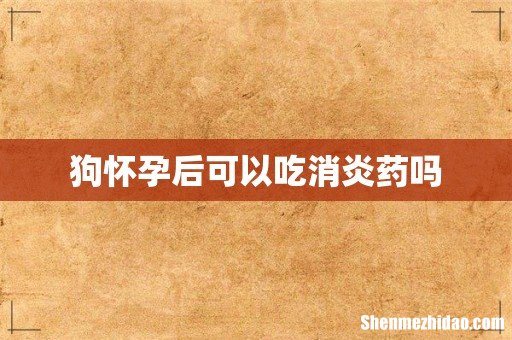 狗怀孕后可以吃消炎药吗