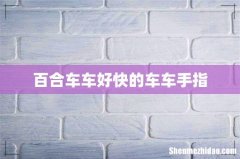 百合车车好快的车车手指