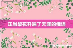 正当梨花开遍了天涯的俄语