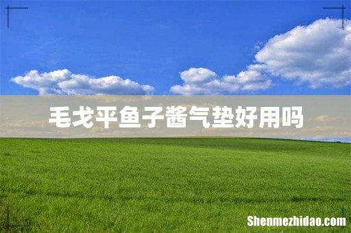 毛戈平鱼子酱气垫好用吗