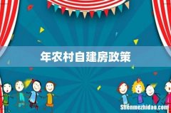 年农村自建房政策