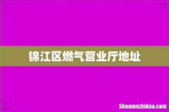 锦江区燃气营业厅地址