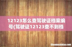 驾驶证12123查不到档案编号 12123怎么查驾驶证档案编号