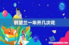 鹤望兰一年开几次花