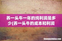 养一头牛的成本和利润是多少 养一头牛一年的纯利润是多少