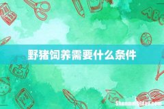 野猪饲养需要什么条件
