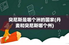 丹麦和突尼斯哪个州 突尼斯是哪个洲的国家