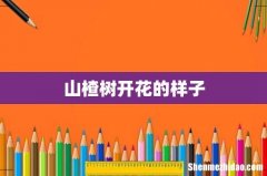 山楂树开花的样子