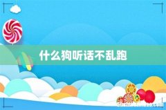 什么狗听话不乱跑