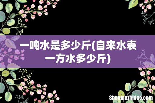 自来水表一方水多少斤 一吨水是多少斤