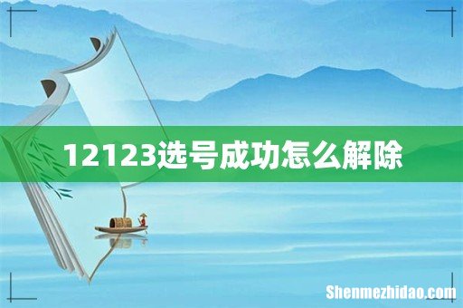 12123选号成功怎么解除