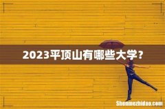 2023平顶山有哪些大学？