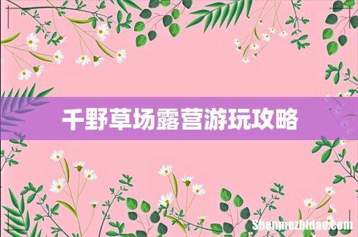 千野草场露营游玩攻略