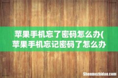 苹果手机忘记密码了怎么办啊 苹果手机忘了密码怎么办