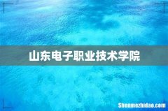 山东电子职业技术学院