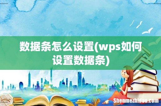 wps如何设置数据条 数据条怎么设置