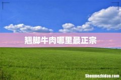 翘脚牛肉哪里最正宗