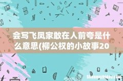 柳公权的小故事20字左右 会写飞凤家敢在人前夸是什么意思