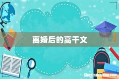 离婚后的高干文
