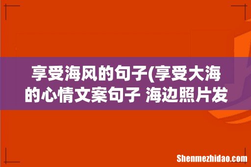 享受大海的心情文案句子 海边照片发朋友圈配文 享受海风的句子