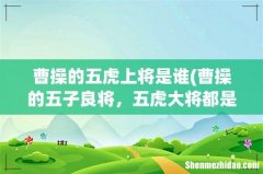 曹操的五子良将，五虎大将都是谁？东吴有类似的称号吗 曹操的五虎上将是谁