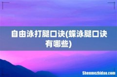 蝶泳腿口诀有哪些 自由泳打腿口诀