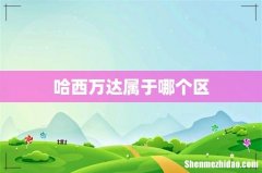 哈西万达属于哪个区