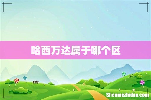 哈西万达属于哪个区