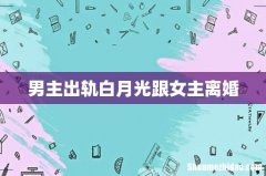 男主出轨白月光跟女主离婚