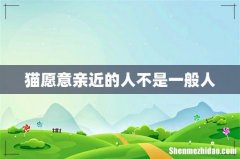 猫愿意亲近的人不是一般人