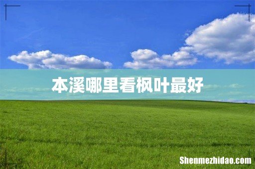 本溪哪里看枫叶最好