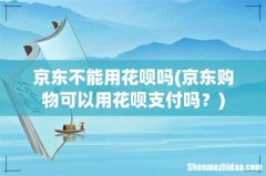 京东购物可以用花呗支付吗？ 京东不能用花呗吗