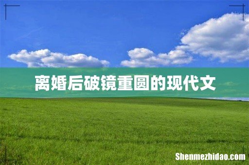 离婚后破镜重圆的现代文