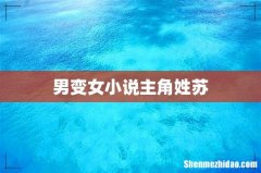 男变女小说主角姓苏