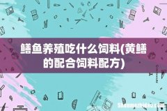 黄鳝的配合饲料配方 鳝鱼养殖吃什么饲料