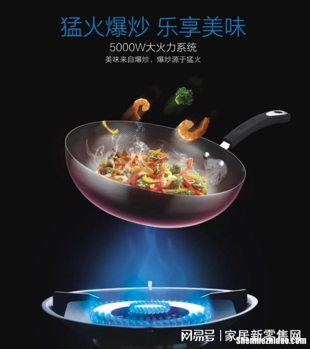 灶头十大品 灶头品牌排行榜前十名