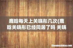 鹿晗关晓彤已经同居了吗 关晓彤鹿晗发生关系了吗 鹿晗每天上关晓彤几次