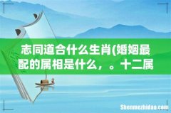 婚姻最配的属相是什么，。十二属相什么跟什么婚姻最相配 志同道合什么生肖