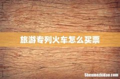 旅游专列火车怎么买票