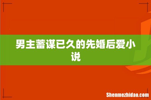 男主蓄谋已久的先婚后爱小说